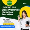 Cross-Promotion Marketing Executive (Female)