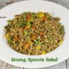 Moong Sprouts Salad Ayurvedic Healthy Salad